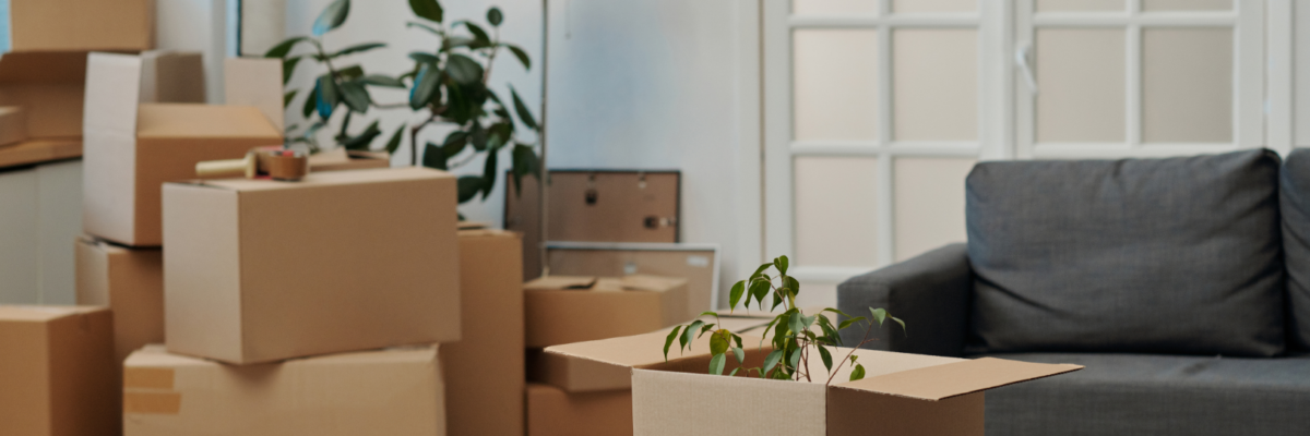 Salarié en mobilité professionnelle comparant une location meublée et une location vide avant son installation.