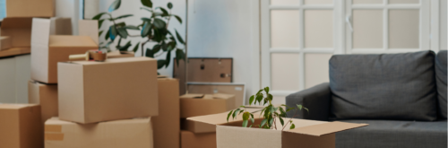 Salarié en mobilité professionnelle comparant une location meublée et une location vide avant son installation.