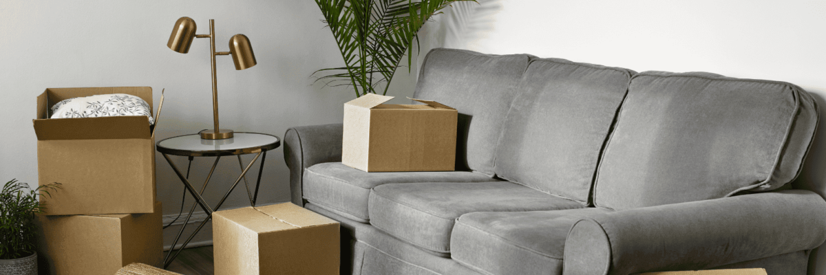 Packing and moving plants safely for relocation