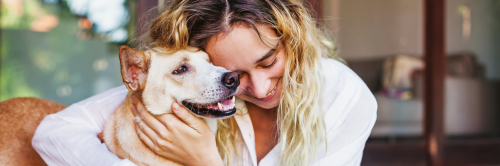 Preparar mascotas para una mudanza internacional con consejos clave de Muter Loger